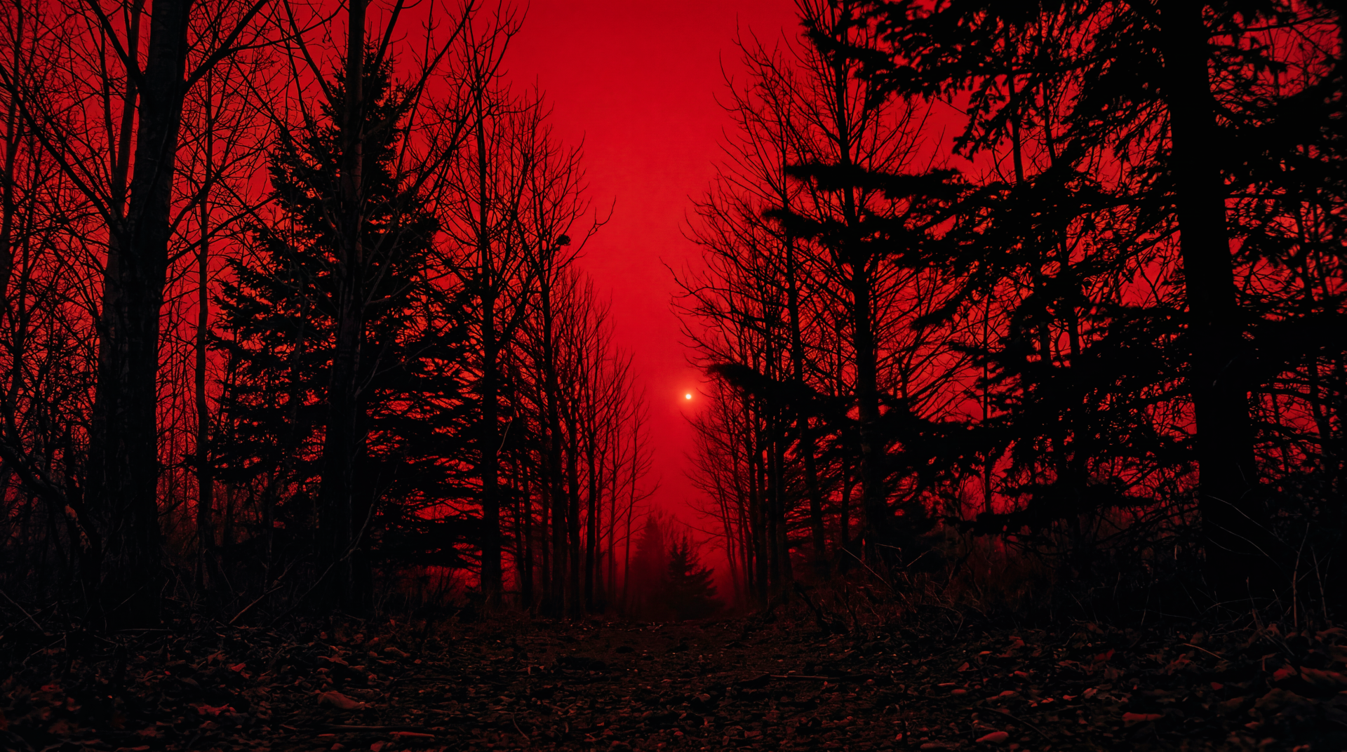Eerie, foggy atmosphere in haunted woods bathed in a blood-red aesthetic; silhouetted trees around a distant glowing orb—5K Ultra HD PC desktop wallpaper/background.