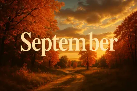 September 4K Ultra HD PC desktop wallpaper: sunlit golden autumn landscape with a winding dirt path, orange trees and a dramatic cloudy sky.