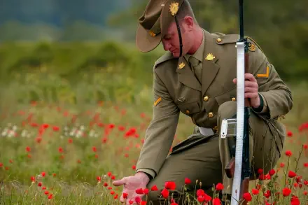 HD PC desktop wallpaper: soldier in vintage uniform kneeling among red poppies on Remembrance Day, touching a flower while holding a rifle.