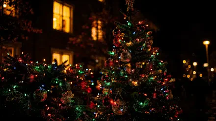 Colorful Christmas tree with multicolored lights and ornaments at night — 4K Ultra HD PC desktop wallpaper/background.