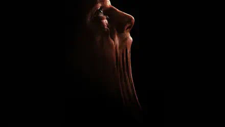 Clayface profile melting into shadow with stretched, clay-like texture — 4K Ultra HD PC desktop wallpaper and background.