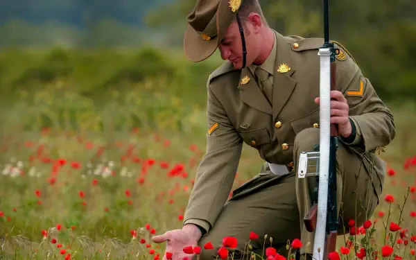 HD PC desktop wallpaper: soldier in vintage uniform kneeling among red poppies on Remembrance Day, touching a flower while holding a rifle.