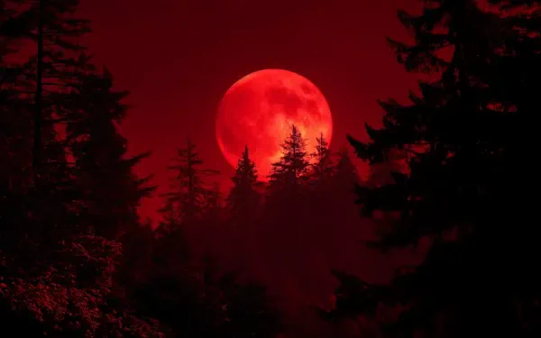 Crimson moon rising above silhouetted pines in a blood-red sky, rendered as a 4K Ultra HD PC desktop wallpaper and background.