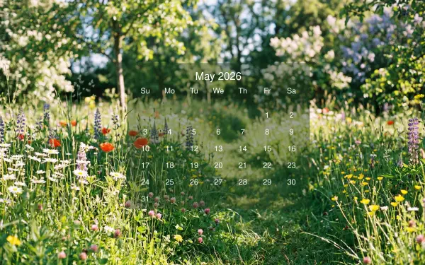May 2026 Calendar overlaid on 5K Ultra HD PC desktop wallpaper: sunlit wildflower meadow path with blurred trees, soft dappled light and scattered colorful blooms.