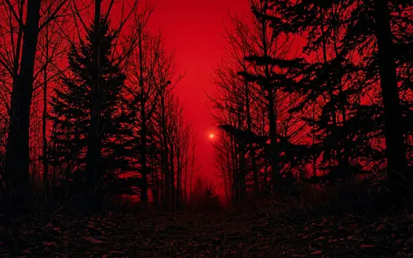 Eerie, foggy atmosphere in haunted woods bathed in a blood-red aesthetic; silhouetted trees around a distant glowing orb—5K Ultra HD PC desktop wallpaper/background.
