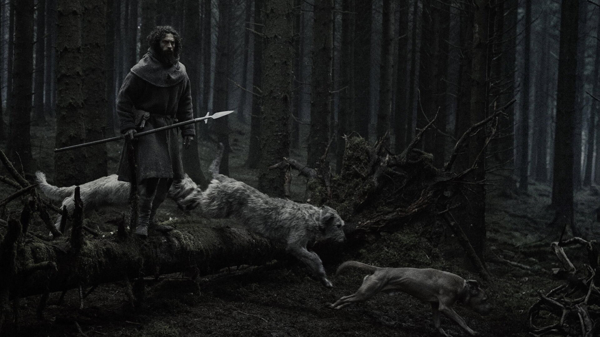 4K Ultra HD PC desktop wallpaper and background: a cloaked figure with a spear in a moonlit, shadowed forest as wolves surround a snarling werewolf crossing a fallen log.
