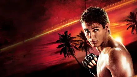 HD PC desktop wallpaper/background: shirtless MMA fighter with gloves poised to strike against a fiery red-orange sunset and silhouetted palm trees, captioned Never Back Down.
