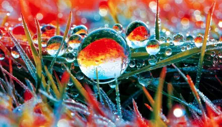 4K Ultra HD PC desktop wallpaper and background: macro of morning dew on grass, crystal droplets reflecting vivid red, blue and green hues.