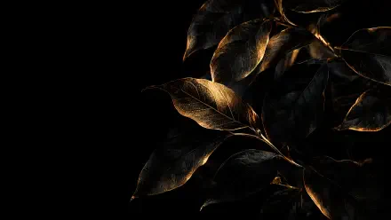 OLED 4K PC desktop wallpaper: glossy dark plant foliage with gold-lit leaves on a deep black background.