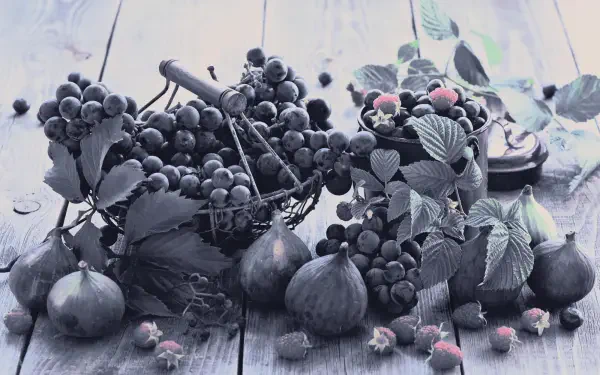 Digital art illustration — HD PC desktop wallpaper, landscape-oriented artwork of a stylized still life: grapes, figs and berries on a weathered wooden table in muted cool tones.