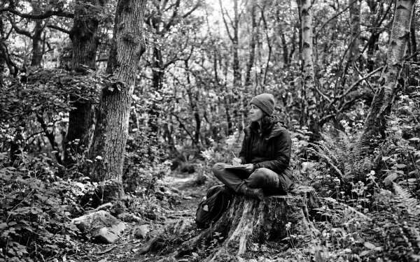 Grayscale 5K Ultra HD PC desktop wallpaper: a person in a beanie and jacket sits on a tree stump in a dense forest, surrounded by ferns and tall trees.