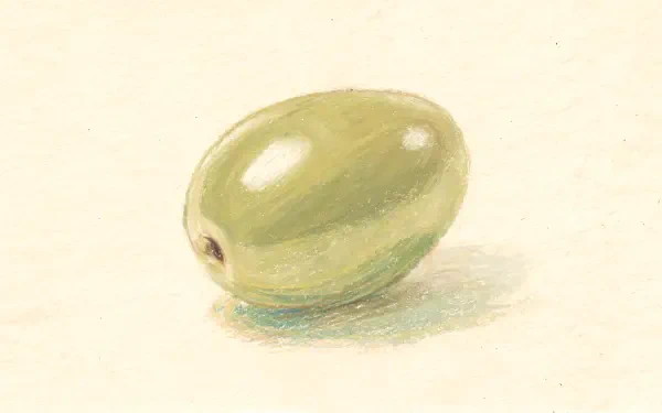 Illustrated green olive on a pale textured surface — 4K Ultra HD PC Desktop Wallpaper and Background.