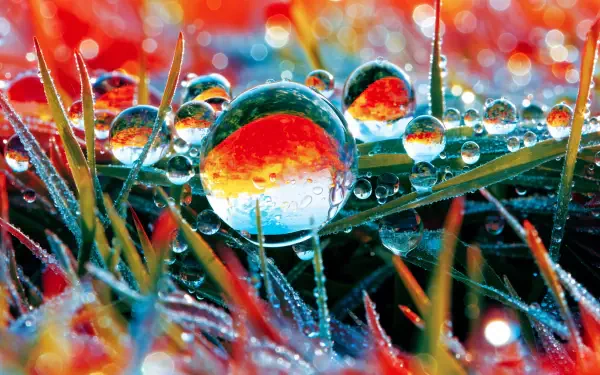 4K Ultra HD PC desktop wallpaper and background: macro of morning dew on grass, crystal droplets reflecting vivid red, blue and green hues.