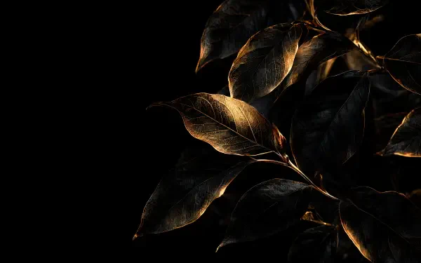 OLED 4K PC desktop wallpaper: glossy dark plant foliage with gold-lit leaves on a deep black background.