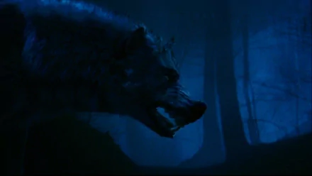 movie Season Of The Witch (2011) HD Desktop Wallpaper | Background Image