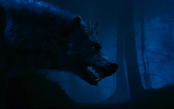 movie Season Of The Witch (2011) HD Desktop Wallpaper | Background Image