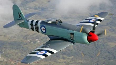 military aircraft hawker sea fury HD Desktop Wallpaper | Background Image