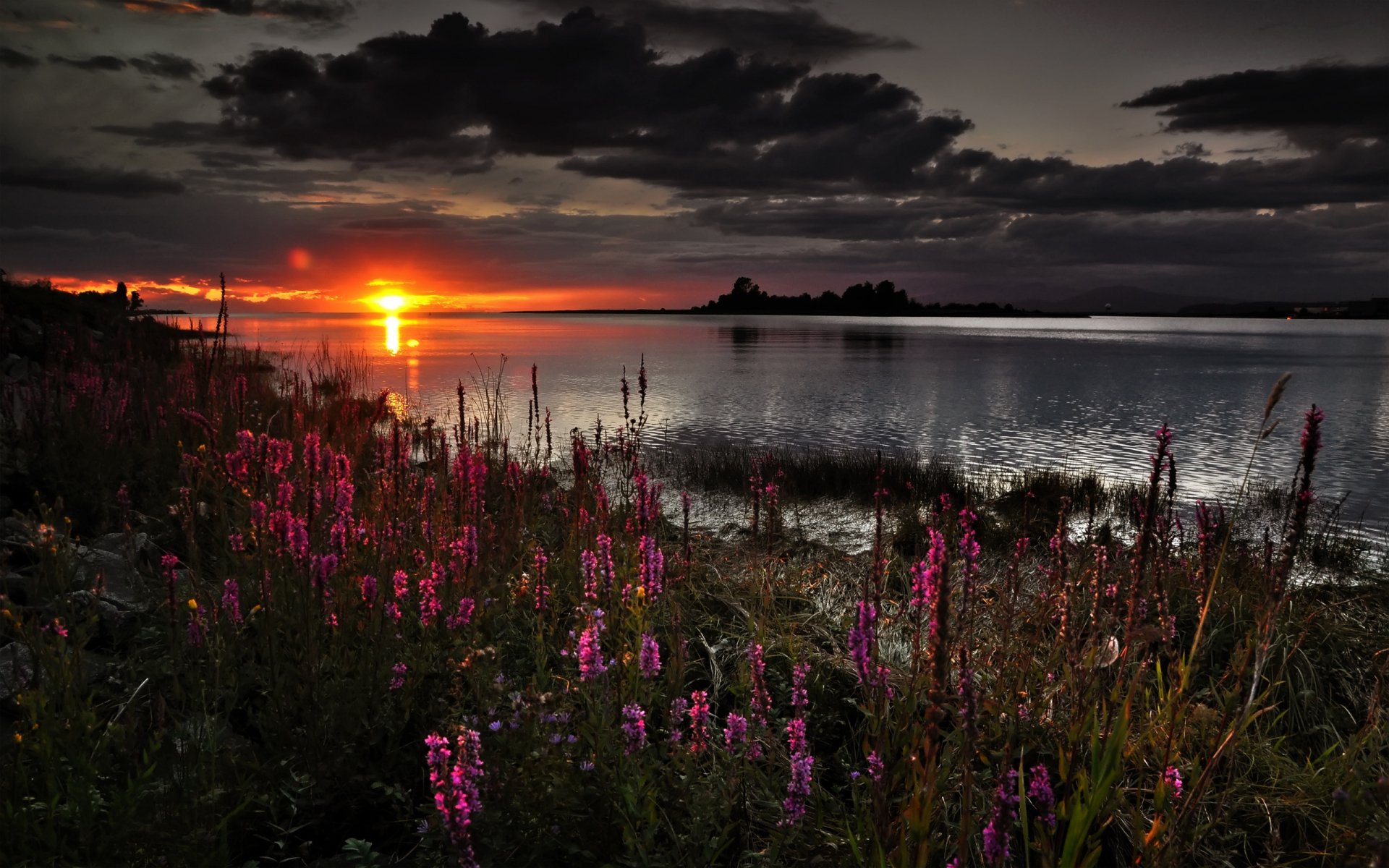 A scenic sunset over a tranquil lake, with vibrant pink flowers in the foreground. This HD wallpaper captures the beauty of nature in stunning detail.