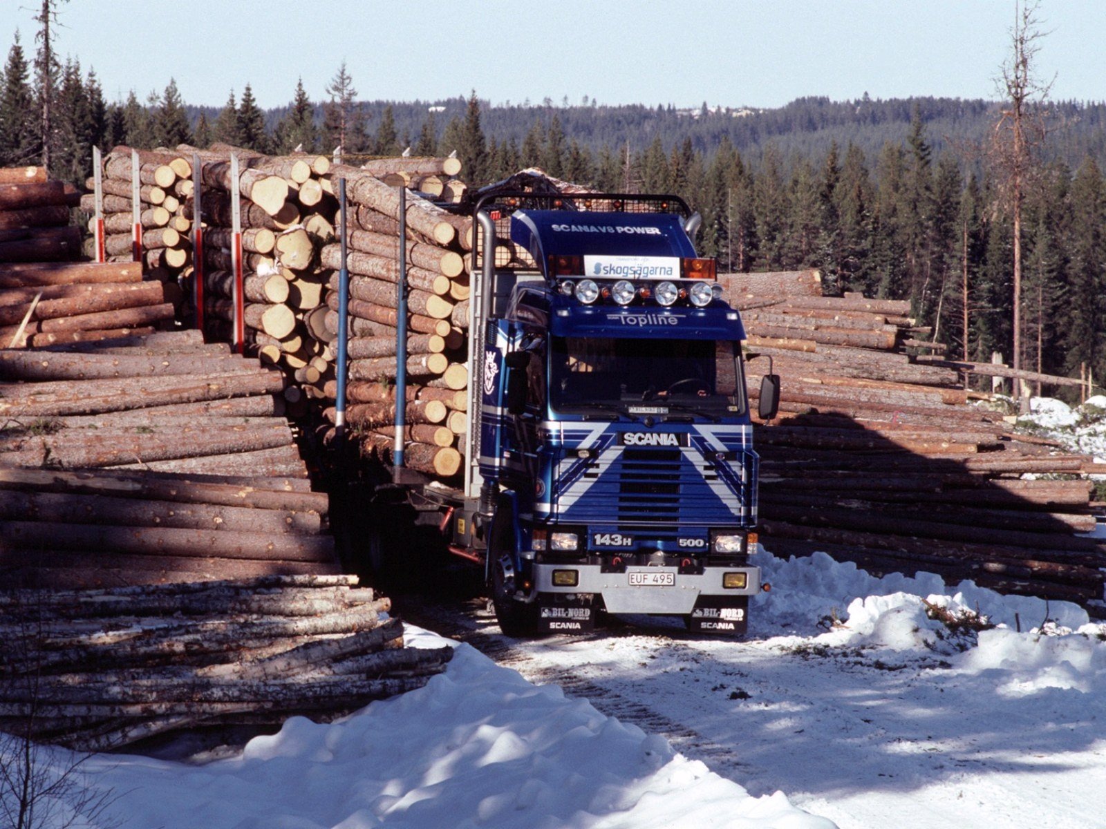 HD desktop wallpaper featuring a Scania vehicle transporting large logs through a snowy forested area.