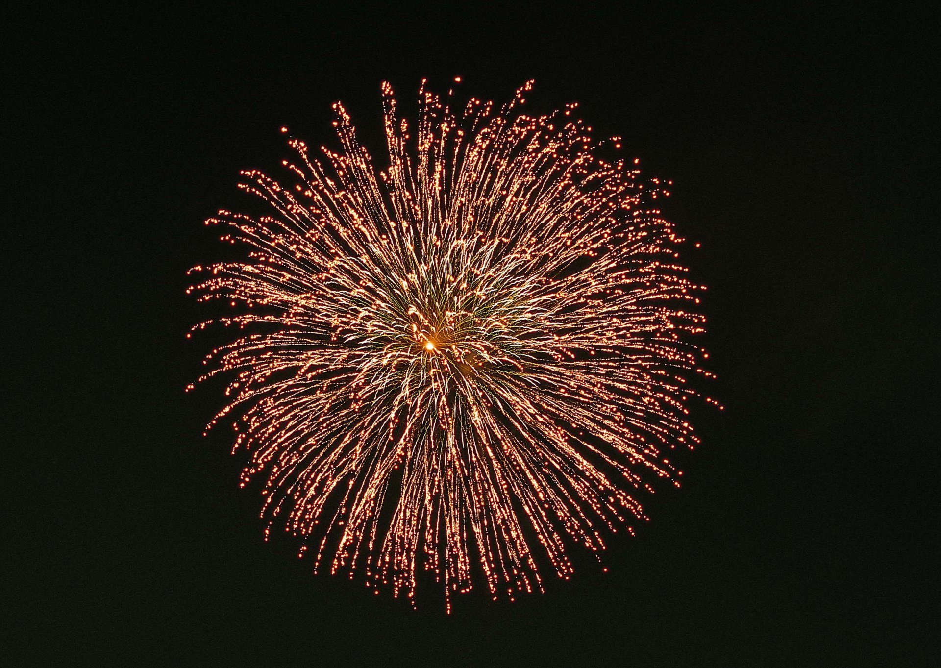 fireworks hd images portrait