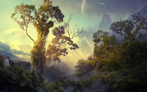 Fantasy Landscape Forest HD Wallpaper | Background Image