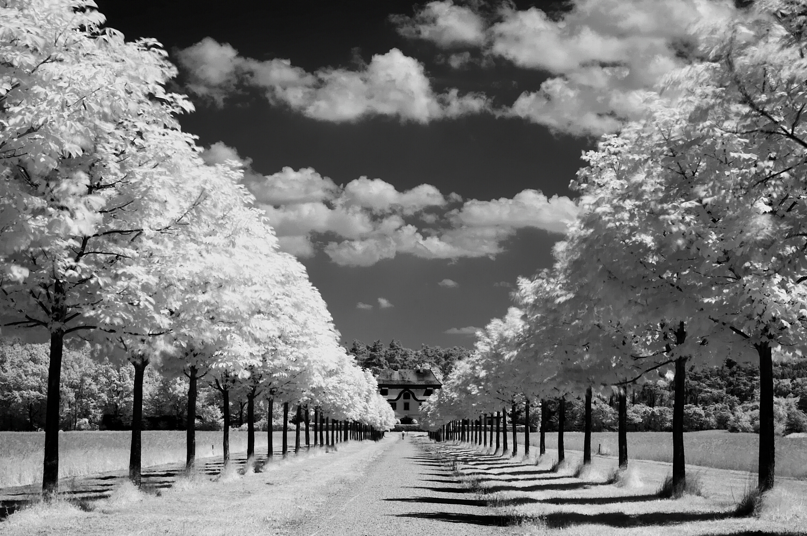 Serene Black & White Landscape - HD Wallpaper