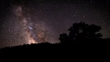 Sci-fi HD PC desktop wallpaper: Milky Way and glowing nebulae arch across a star-filled sky above silhouetted trees on a dark ridgeline.