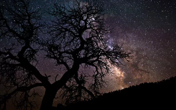 A striking HD desktop wallpaper showcasing the Milky Way galaxy, illuminated against a dark, silhouetted tree, creating a captivating sci-fi atmosphere.
