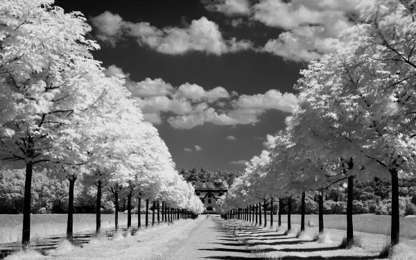 Photography Black & White HD Wallpaper | Background Image