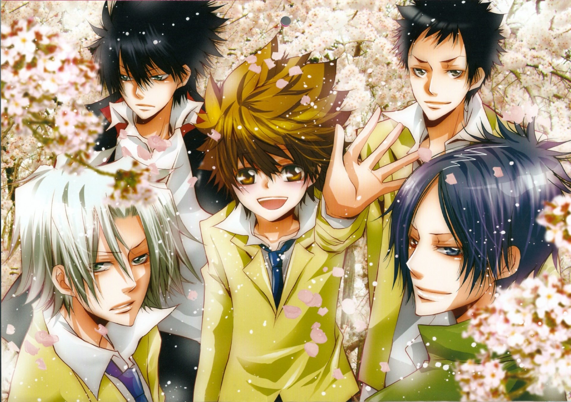 Anime-inspired wallpaper from Katekyō Hitman Reborn! featuring five characters against a backdrop of blooming cherry blossoms, showcasing vibrant colors and dynamic expressions.
