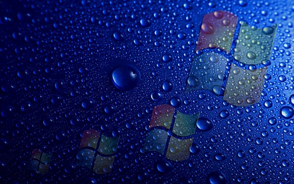 Technology Windows Blue HD Wallpaper | Background Image