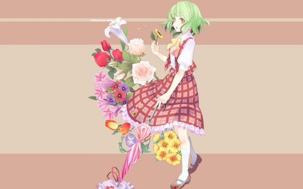 Anime Touhou Yuuka Kazami HD Wallpaper | Background Image