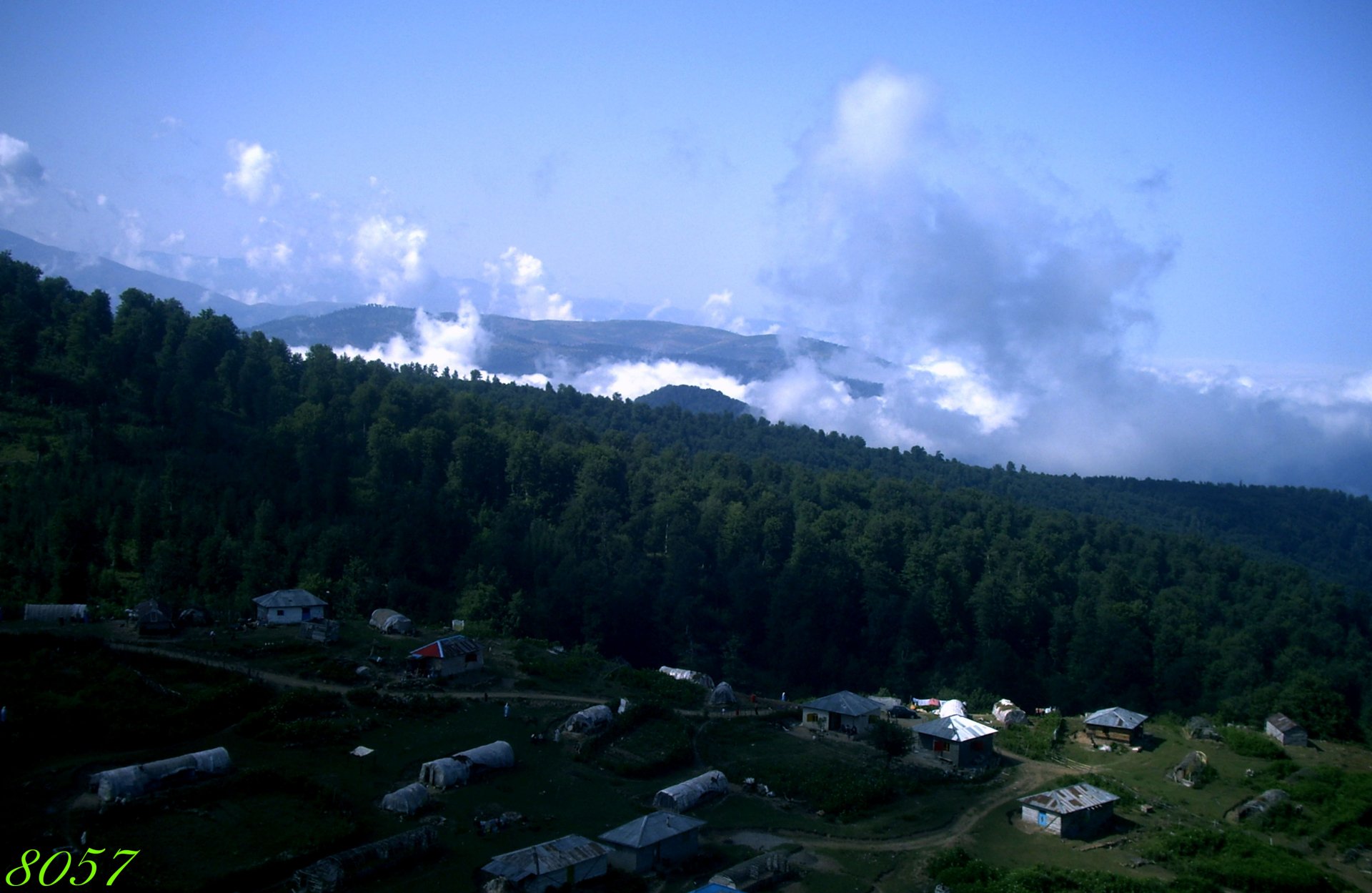 Immigrants Village by 8057