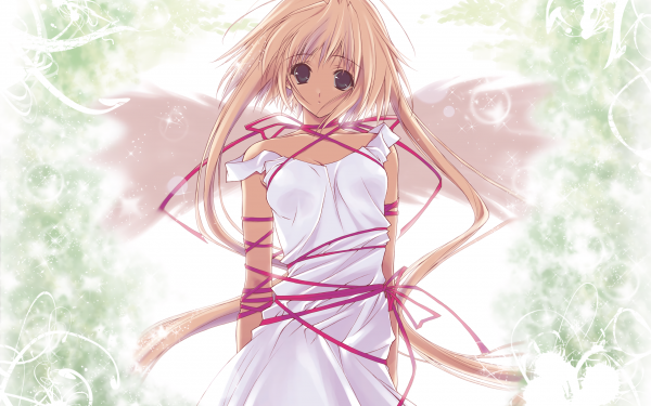 Anime Eve License Organization Angel HD Wallpaper | Background Image