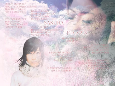 music hikaru utada HD Desktop Wallpaper | Background Image