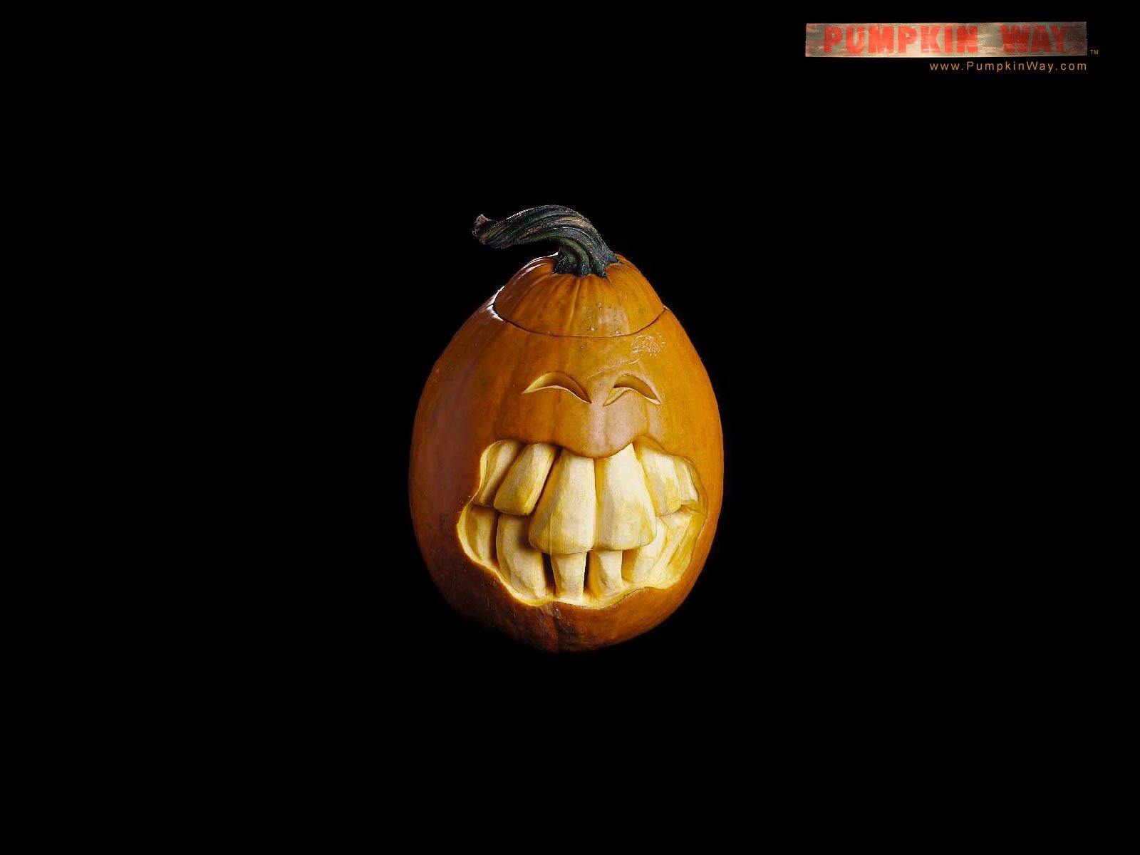 A carved pumpkin with a mischievous grin stands against a black background, capturing the festive spirit of Halloween. This vibrant image makes a striking HD desktop wallpaper.