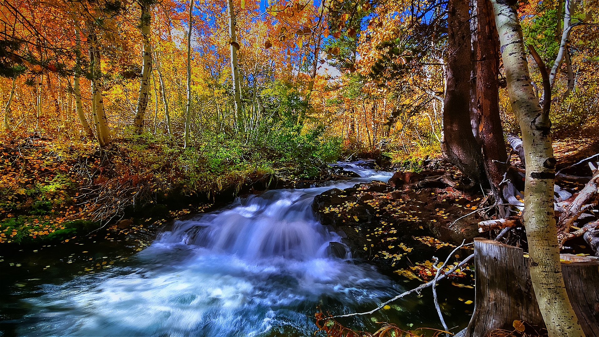 a summer scene Full HD Wallpaper and Background Image | 1920x1080 | ID