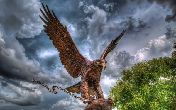 Man Made Statue Bird Eagle HD Wallpaper | Background Image
