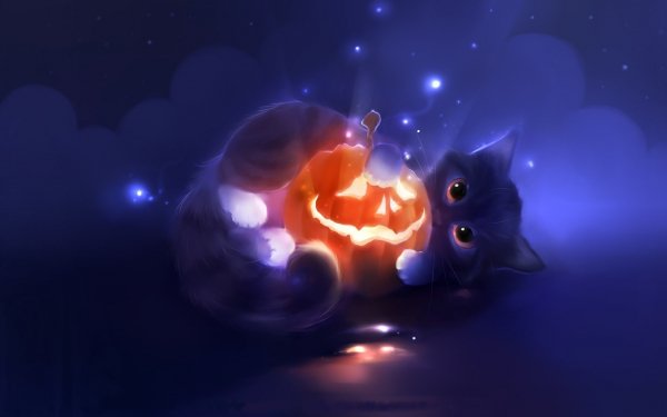 Holiday Halloween Cat Pumpkin HD Wallpaper | Background Image
