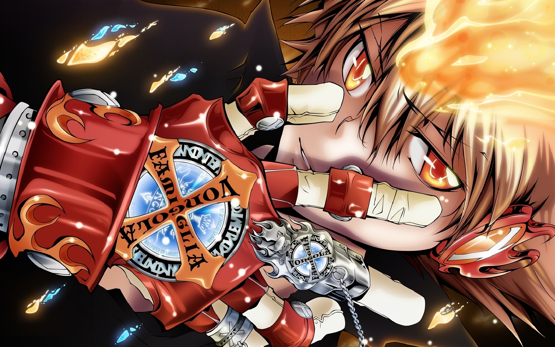 Download All Anime Katekyo Hitman Reborn Wallpaper