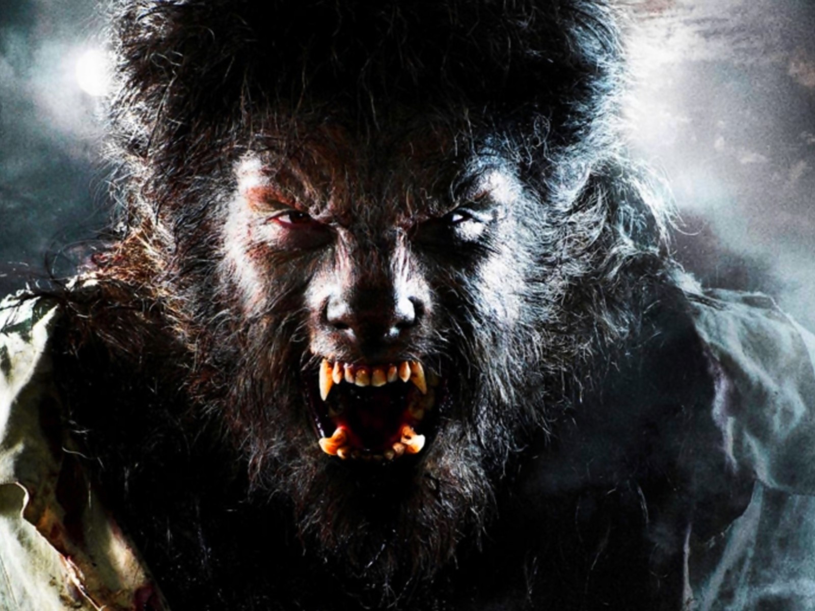 Werewolf Wallpaper and Background Image | 1600x1200 | ID:178660 ...