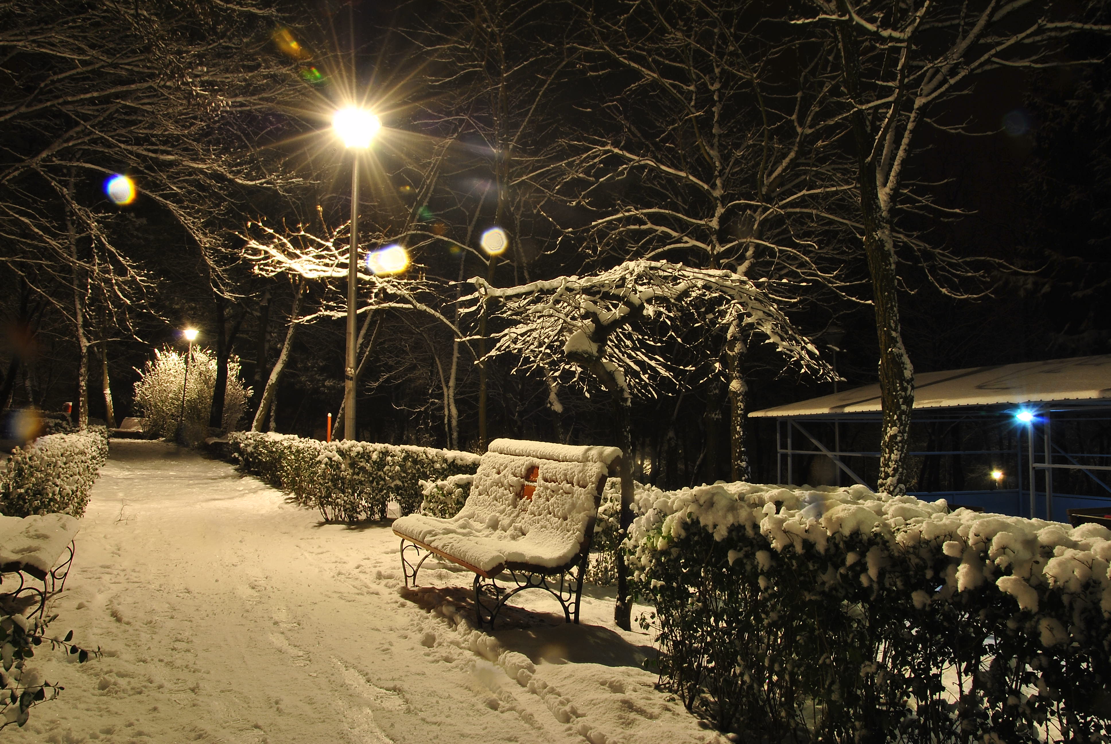 Вечером снежок. Зимний парк. Зимний Вечерний парк. Зимняя аллея. Заснеженный ночной парк.