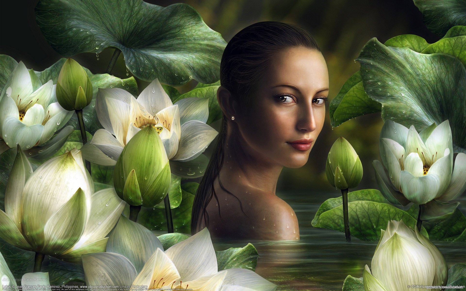Artistic HD desktop wallpaper featuring a serene woman partially submerged among large white lotus flowers and lush green leaves.