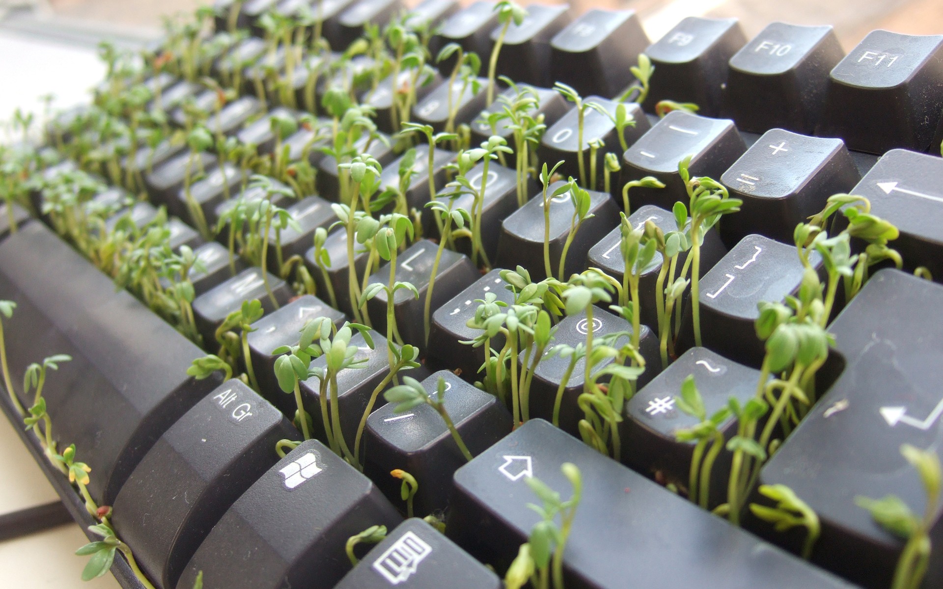 Technology Keyboard HD Wallpaper | Background Image