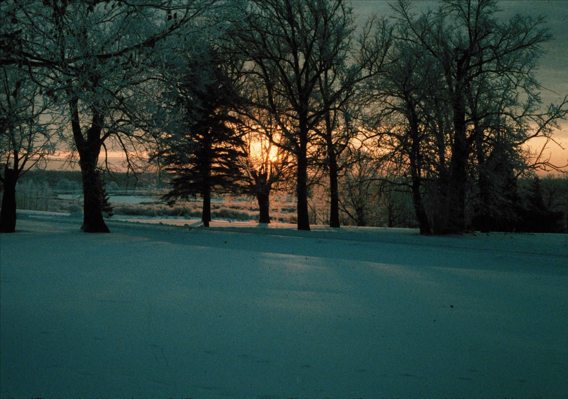 Download Nature Scenic HD Wallpaper