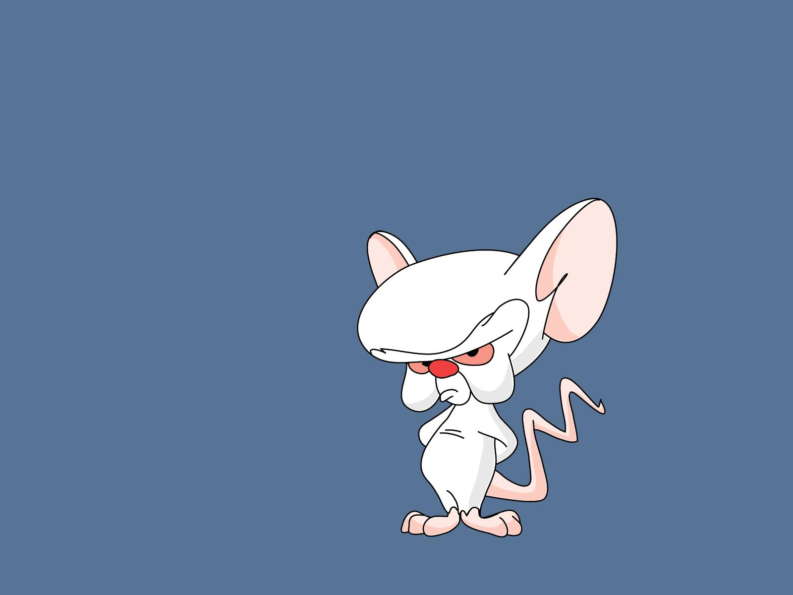 TV Show Pinky And The Brain HD Wallpaper | Background Image