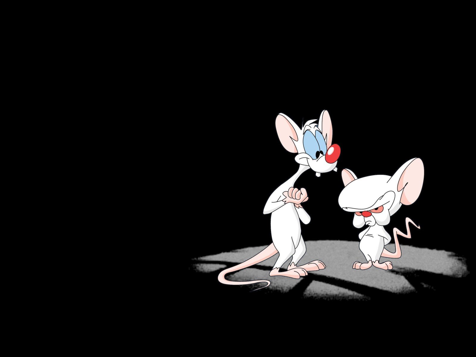 Pinky And The Brain Wallpaper and Background Image | 1600x1200 | ID ...