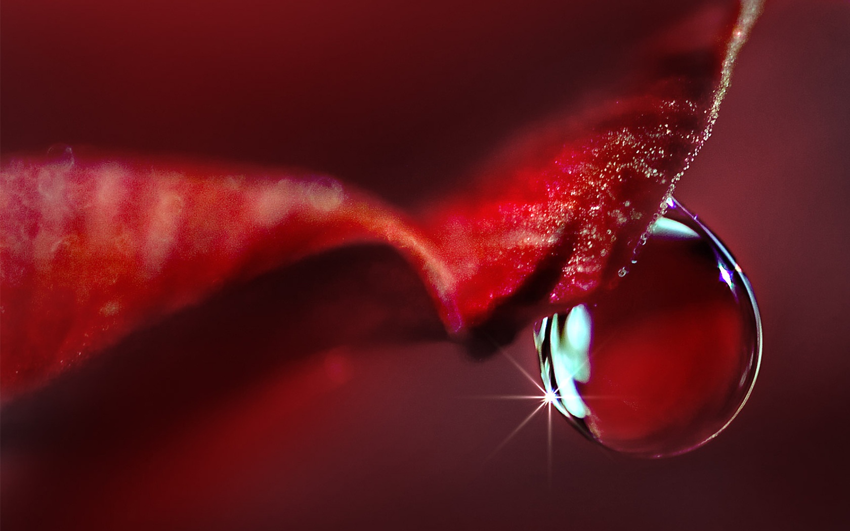 Water Drop Wallpaper