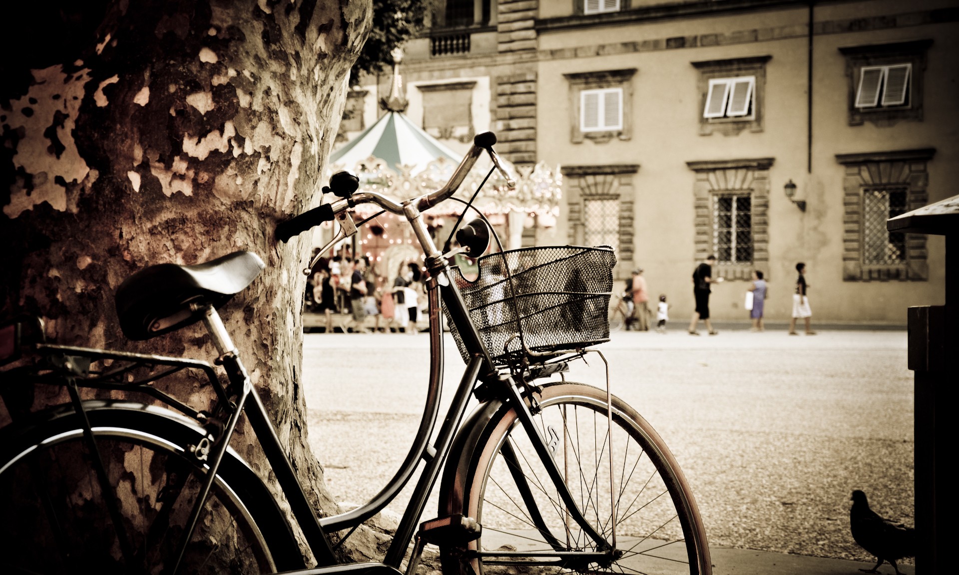 Vehículos Bicicleta Fondo de pantalla HD | Fondo de Escritorio