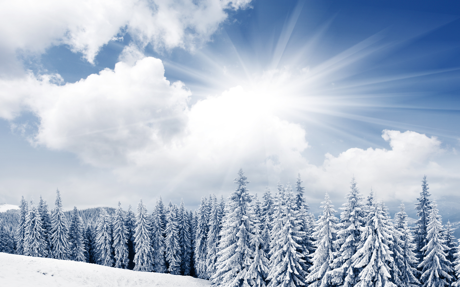 Winter Full HD Wallpaper and Background Image | 1920x1200 | ID:198930